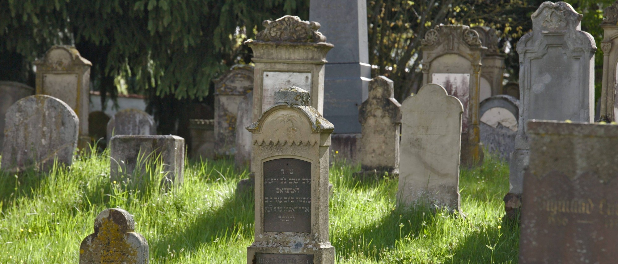 Grabsteine mit hebräischen und deutschen Inschriften auf dem jüdischen Friedhof in Buttenwiesen. Führt zur Unterseite „Buttenwiesen“.