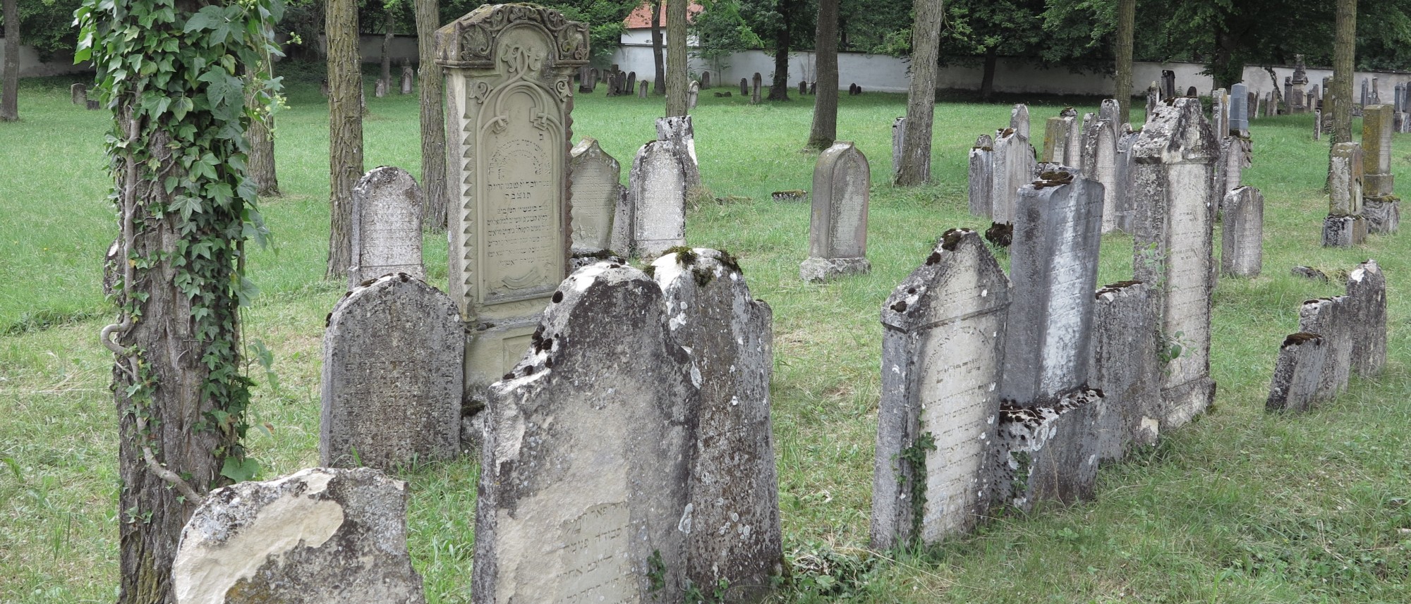 Grabsteine mit hebräischen Inschriften auf dem Friedhof in Harburg. Führt zur Unterseite &quot;Harburg&quot;.